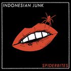 Spiderbites