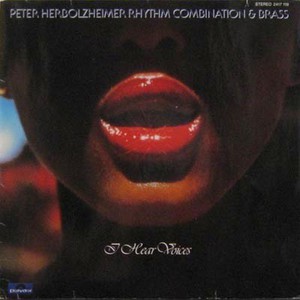 I Hear Voices (Vinyl)