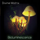 Bioluminescence (Soundscapes Vol. 4)