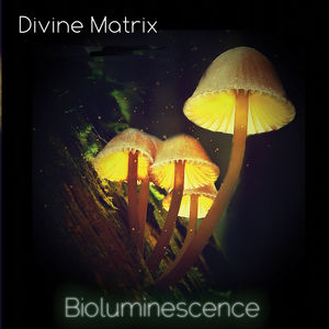 Bioluminescence (Soundscapes Vol. 4)