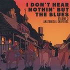 I Don't Hear Nothin' But The Blues Vol. 3: Anatomical Snuffbox