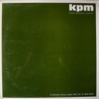 Distinctive Themes / Race To Achievement (Vinyl)