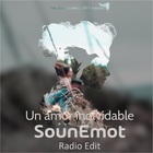 Un Amor Inolvidable (Radio Edit) (CDS)