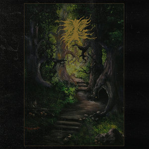 The Green Enchanted Forest Of The Druid Wizard