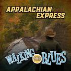 Walking The Blues