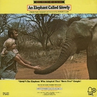 An Elephant Called Slowly (Vinyl)