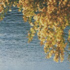 How To Transform Into Complete & Total Silence