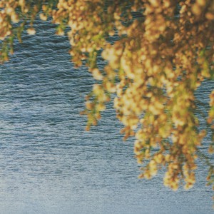 How To Transform Into Complete & Total Silence