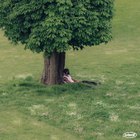 Be Easy (Feat. Brazy) (CDS)