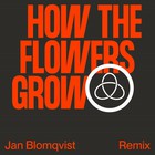 How The Flowers Grow (Feat. Pixx) (Jan Blomqvist Remix) (CDS)