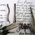 Ecce Homo (EP)