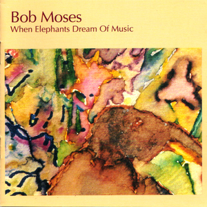 When Elephants Dream Of Music (Reissued 1993)