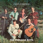 I See A Bridge (Vinyl)