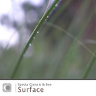 Surface (With Arbee)
