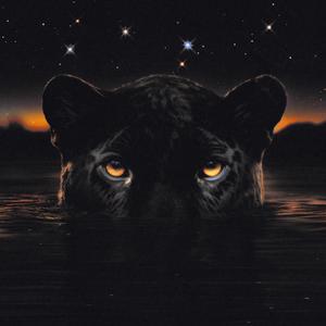 Jaguar II : Deluxe CD1