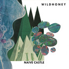 Naive Castle (CDS)