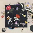 Alula: Captivity (Feat. Chris Tordini, Tyshawn Sorey & Val Jeanty)