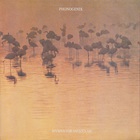 Hymns For Savannah (Vinyl)