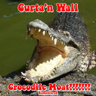 Crocodile Moat​!​!​!​!​!​!​! (Remastered 2024)
