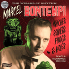 Witches, Spiders, Frogs & Holes - Demos & Recordings 2009-2014