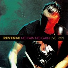 Revenge - No Pain No Gain (Live 1991)
