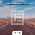 Going Alone (CDS)