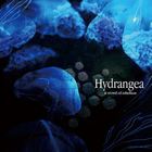 A Crowd Of Rebellion - Hydrangea (EP)