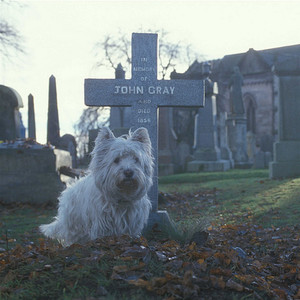 The Adventures Of Greyfriars Bobby
