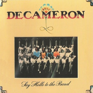 Say Hello To The Band (Vinyl)