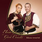 Lilicea Vreariei (With Gica Coada)
