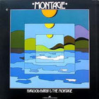 Montage (Vinyl)