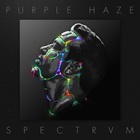 Spectrvm (Extended Mixes)
