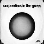 In The Grass (Vinyl)