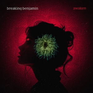 Awaken (CDS)