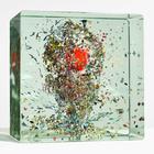 Jacob Collier - Djesse Vol. 4 (Deluxe Version)