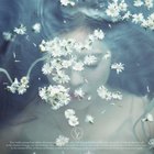 Like A Flower - The 1St Mini Album