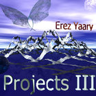 Projects III