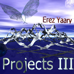 Projects III