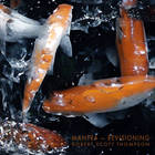 Robert Scott Thompson - Mantra (Revisioning)