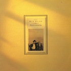 Big New Beginning (VLS)