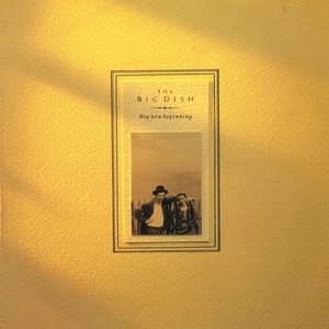 Big New Beginning (VLS)