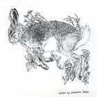 Habits (CDS)
