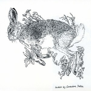 Habits (CDS)