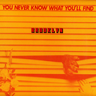 You Never Know What You'll Find (Vinyl)