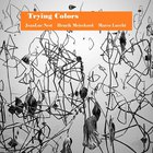 Henrik Meierkord - Trying Colors