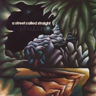 A Street Called Straight (Vinyl)