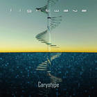 Caryotype