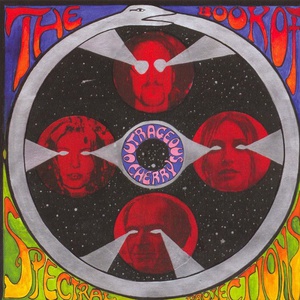 The Book Of Spectral Projections