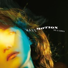 Wave Motion