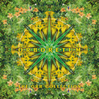 Orboretum: The Orb Collection CD2